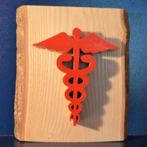 caducée en bois idéal médical